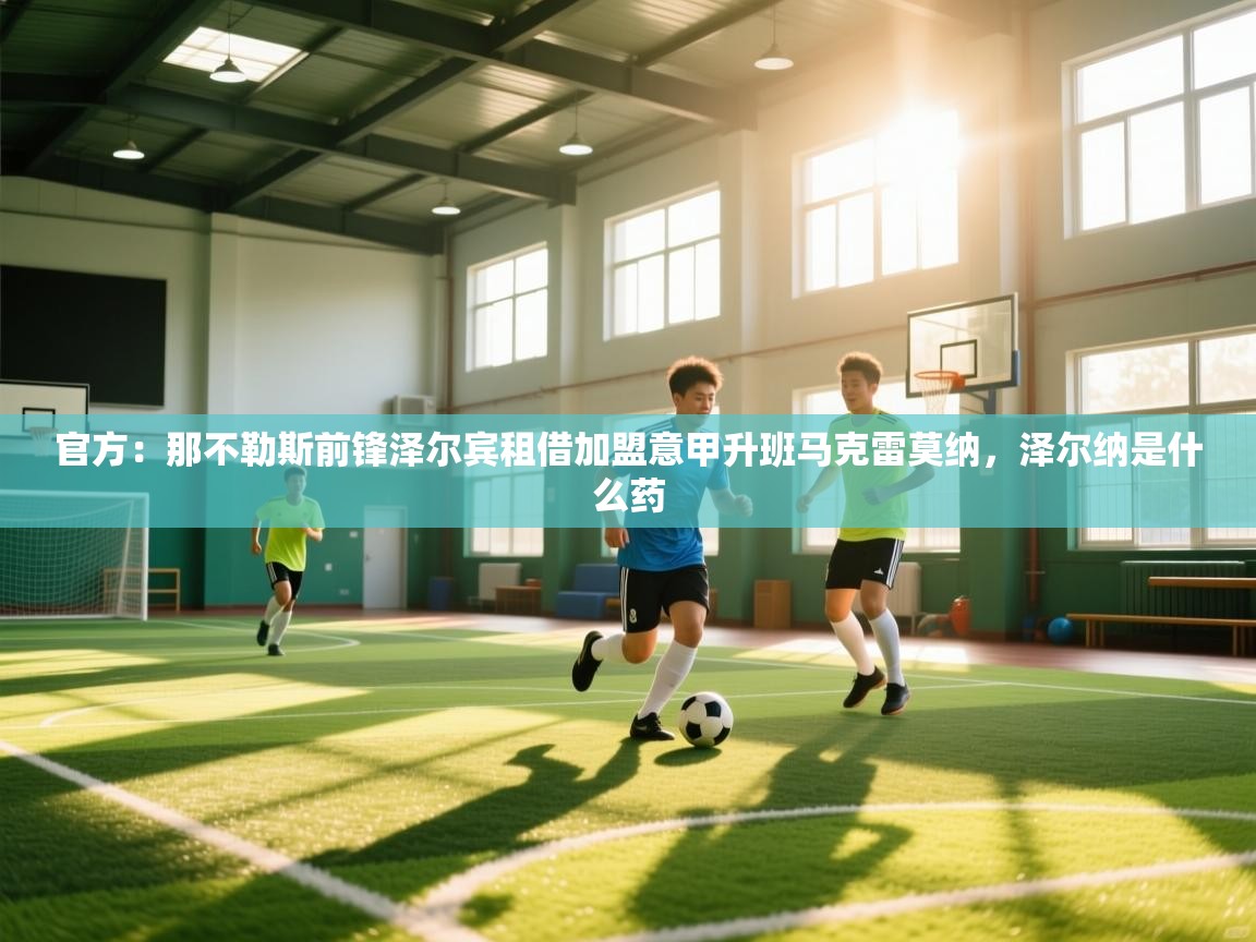 官方：那不勒斯前锋泽尔宾租借加盟意甲升班马克雷莫纳，泽尔纳是什么药