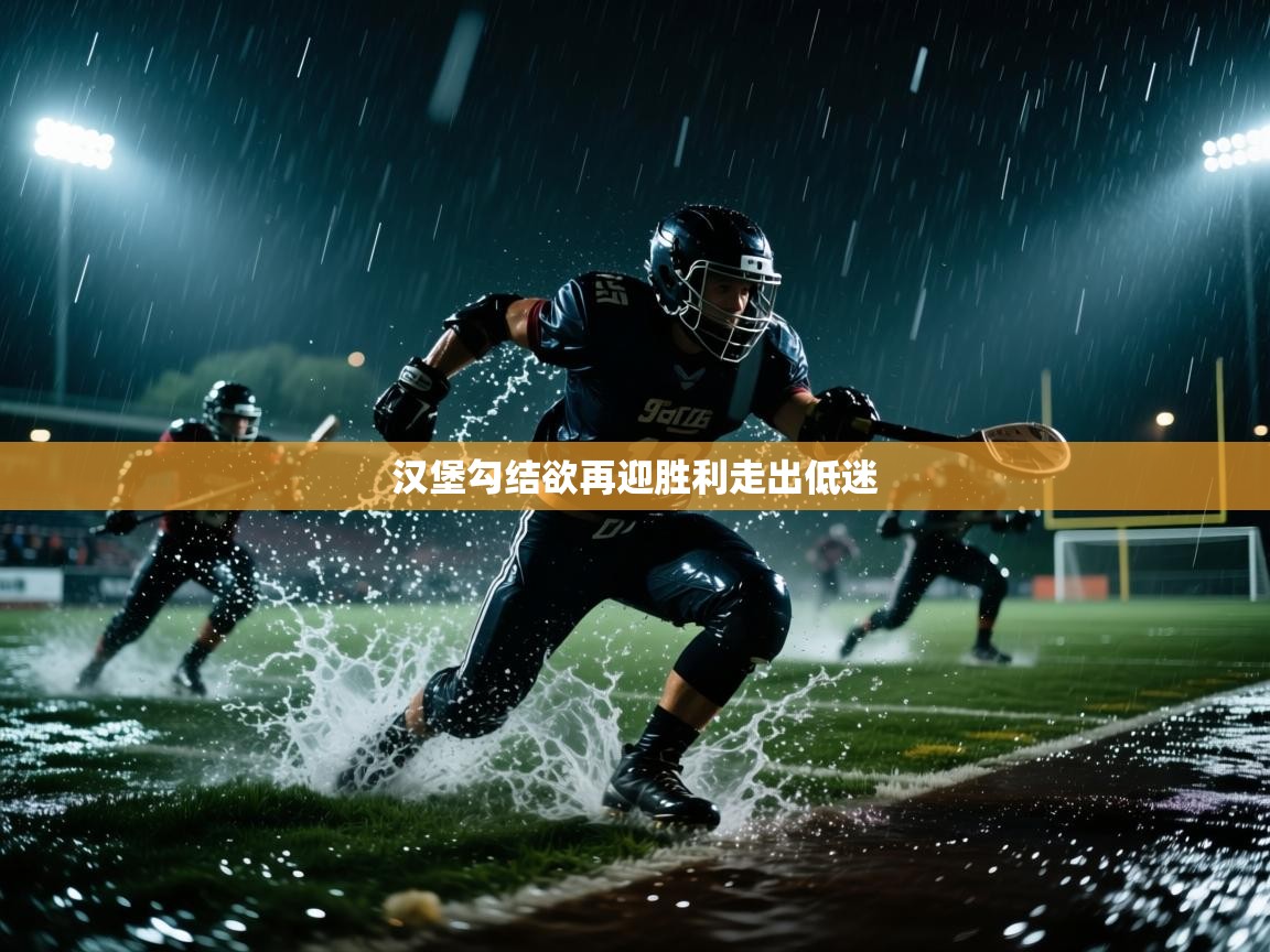 汉堡勾结欲再迎胜利走出低迷  第2张