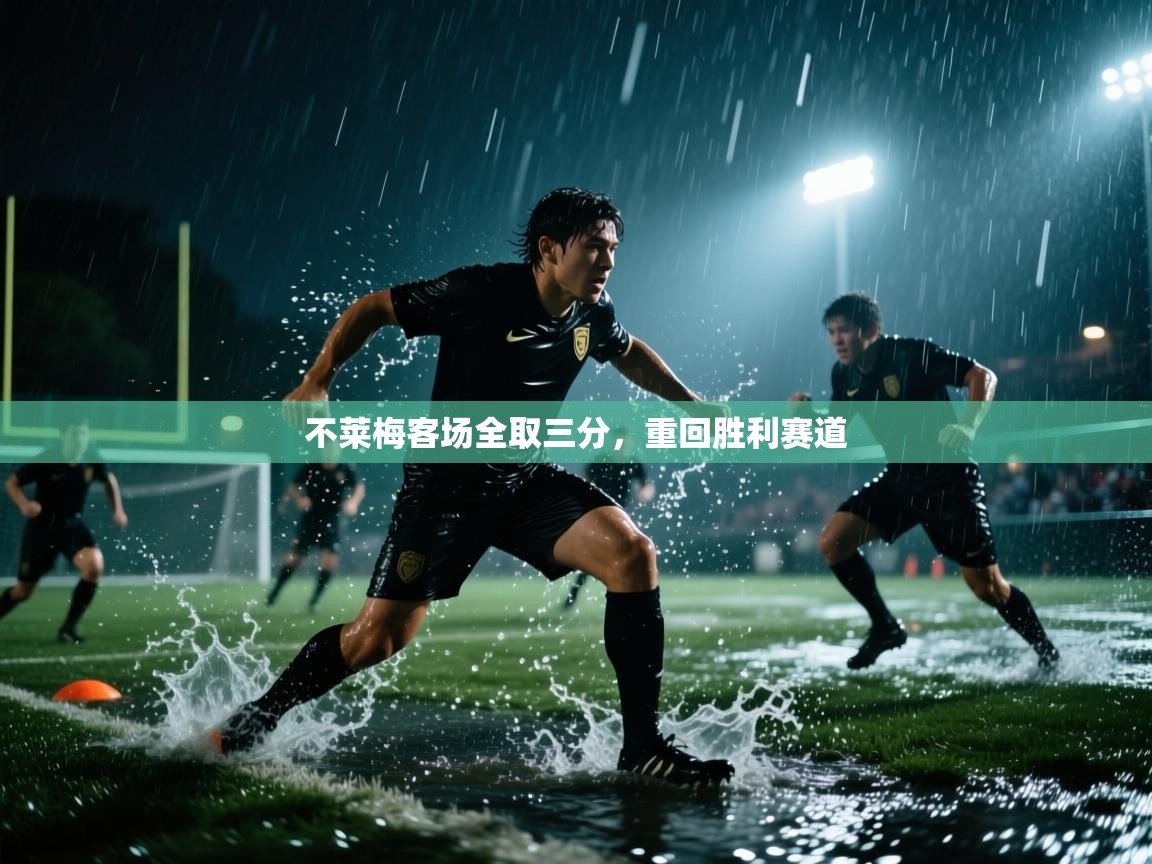不莱梅客场全取三分,重回胜利赛道 第1张