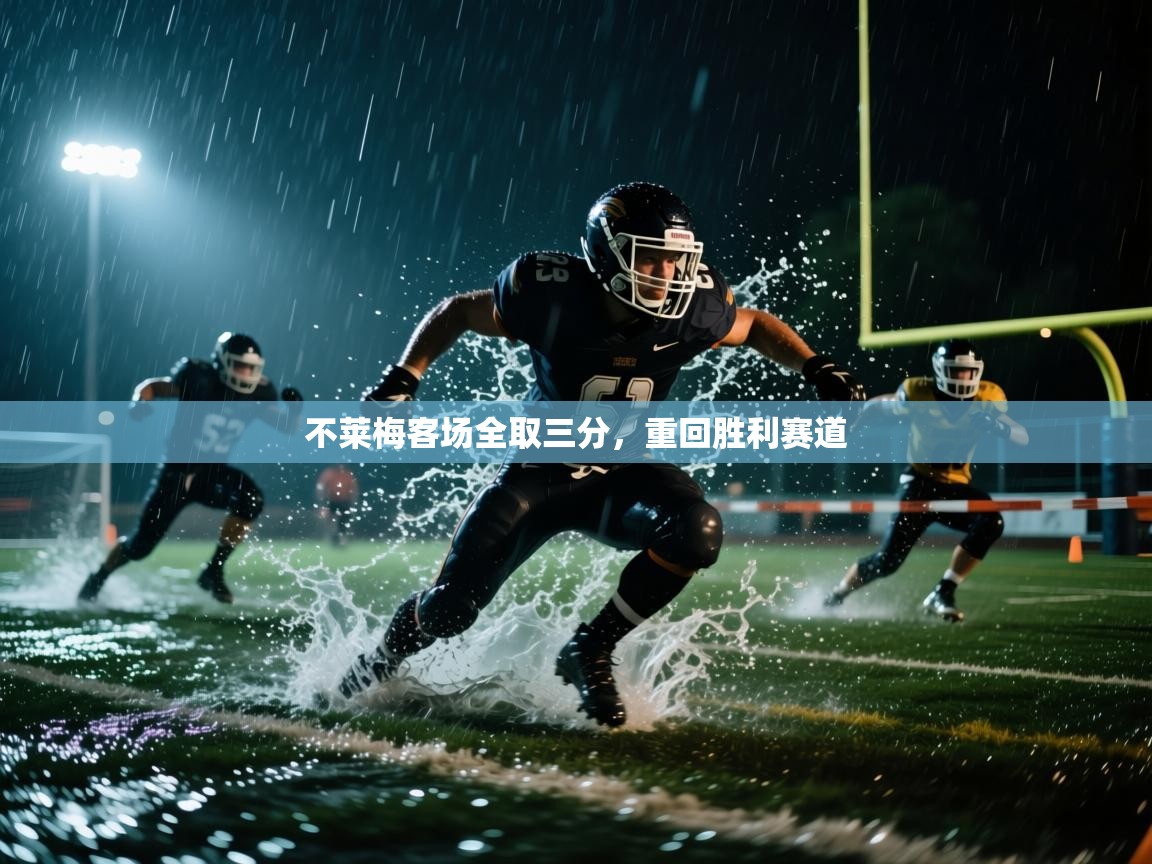 不莱梅客场全取三分,重回胜利赛道 第2张